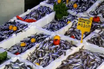 Hamside "ikinci bahar" yaşanıyor