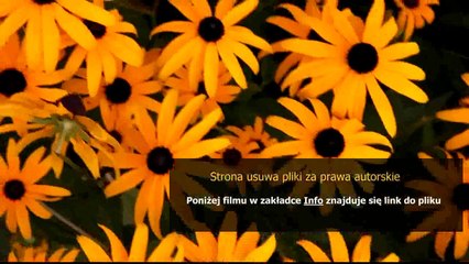 instrukcja obslugi tekstow metody retoryki chomikuj