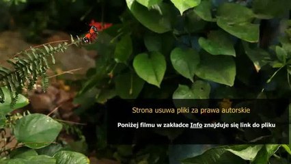 instrukcja do zmywarki electrolux esl 4131