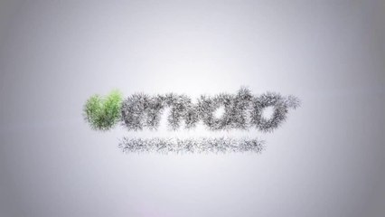 Flying Through Words Logo Reveal - After Effects Template