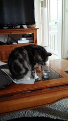 une nouvelle façon de boire