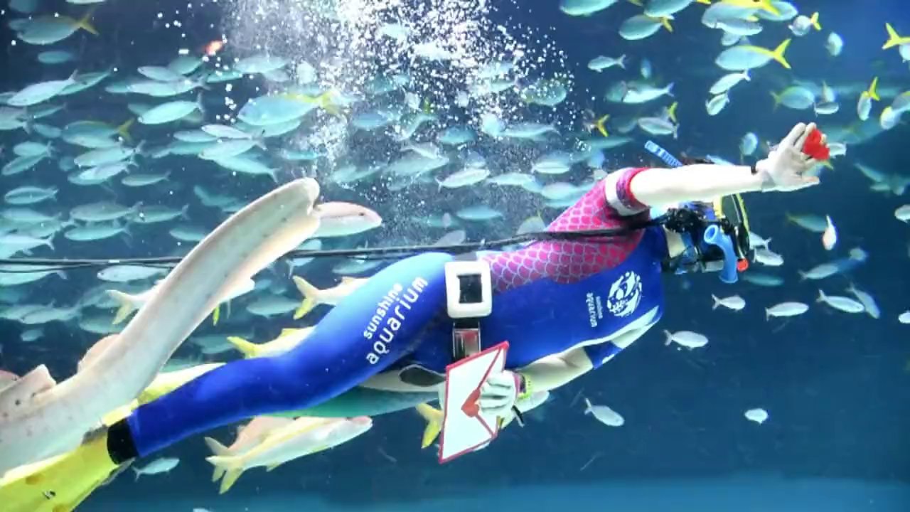 Les poissons de l'aquarium de Tokyo fêtent la Saint-Valentin
