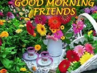 İLHAN İREM-GÜNAYDIN