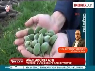 İstanbul'da Sıcaklık Rekoru