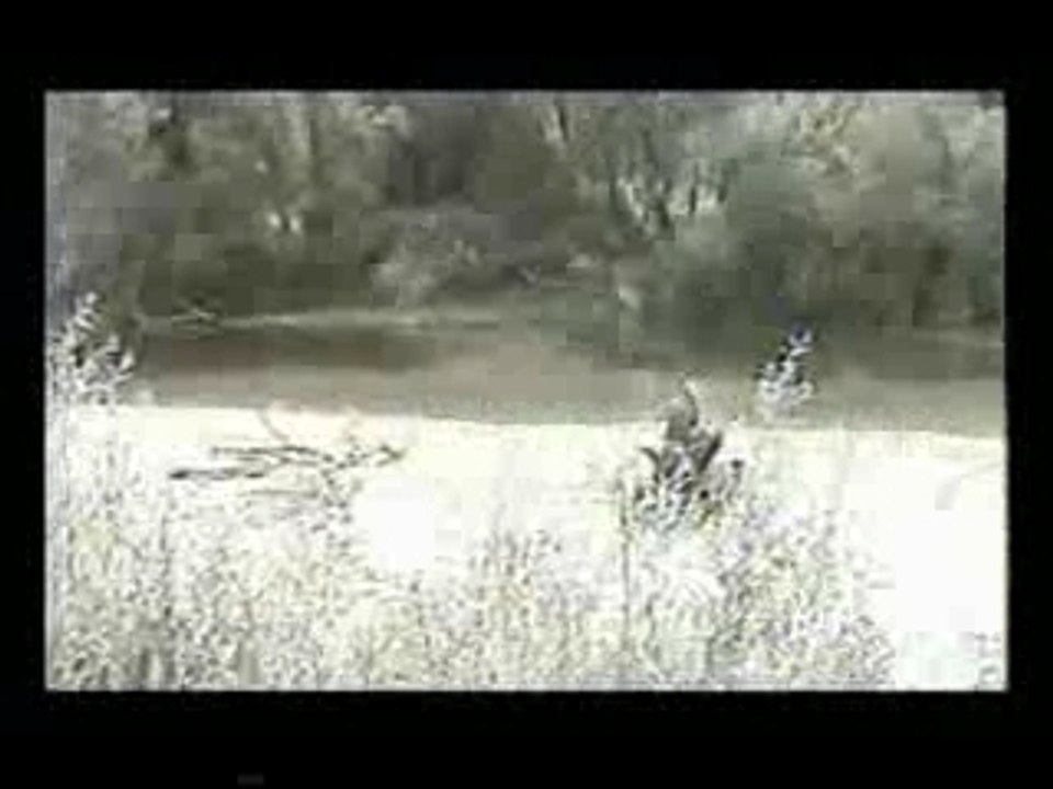 Delire quad humour shifoumistyle