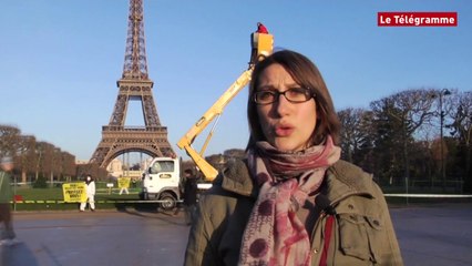 Greenpeace. Maïs TC 1507 : un feu vert qui passe mal