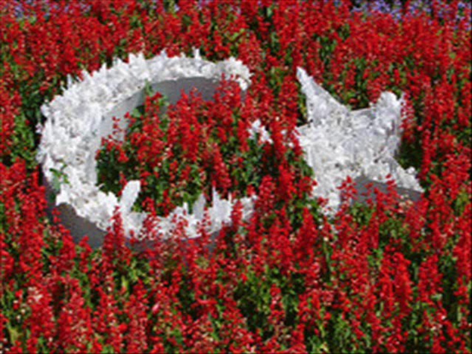 ABDULVAHAP KOCAMAN .wmv