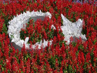 ABDULVAHAP KOCAMAN .wmv