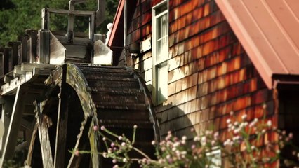 Part 2 of Honda's Award-Winning Environmental Film Series: Paint by Numbers