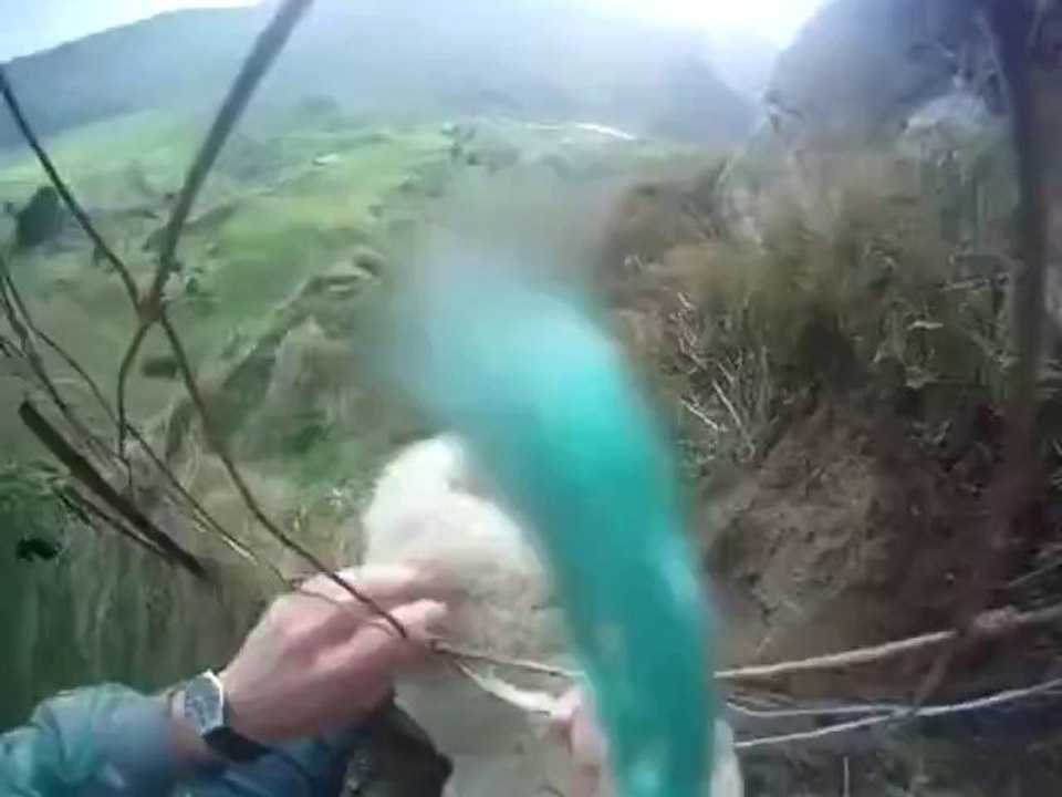 Ein Schaf aus dem Zaun befreien