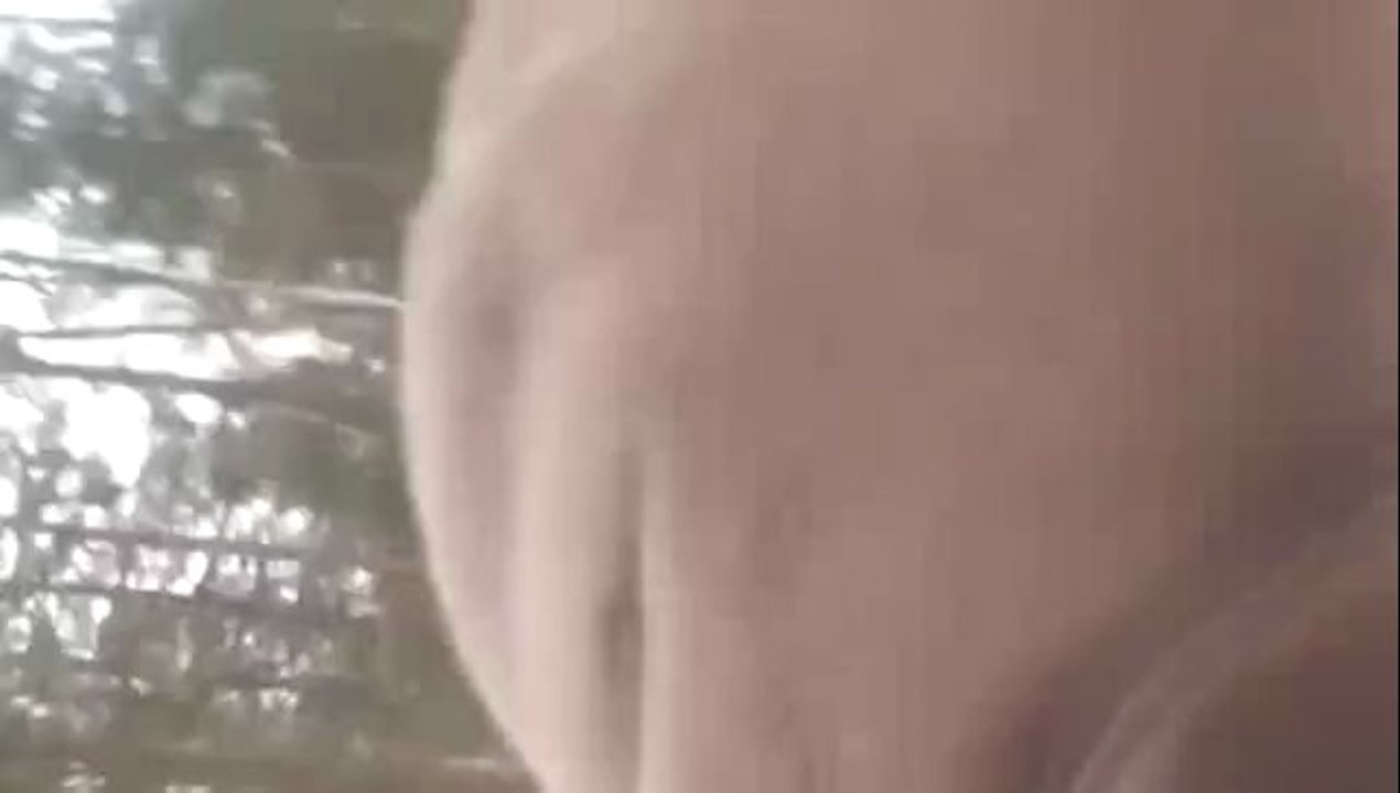 Ein Wildschwein jagen FAIL