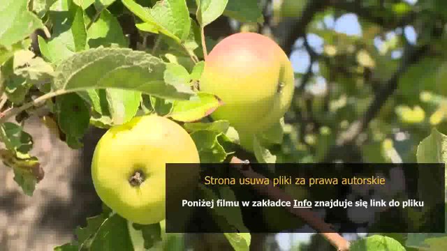 league of legends ezreal guide build