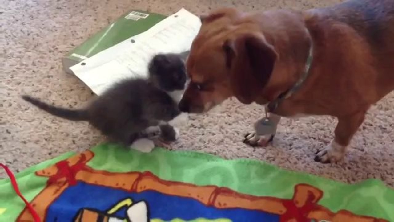 Eine süße Begegnung