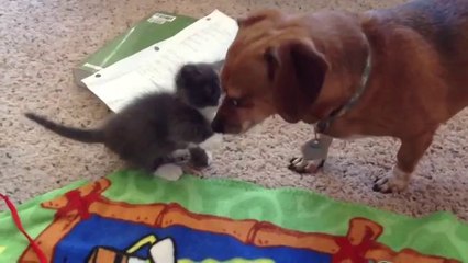 Eine süße Begegnung