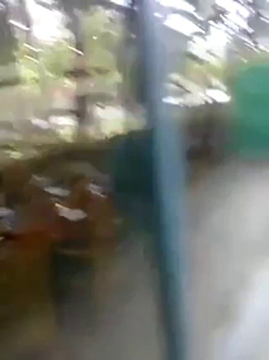 Einen verunglückten Vogel aufwecken