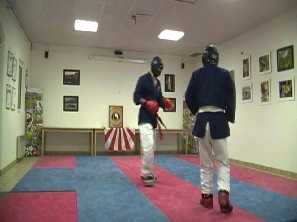 Kenpo1 le 7Fév2014