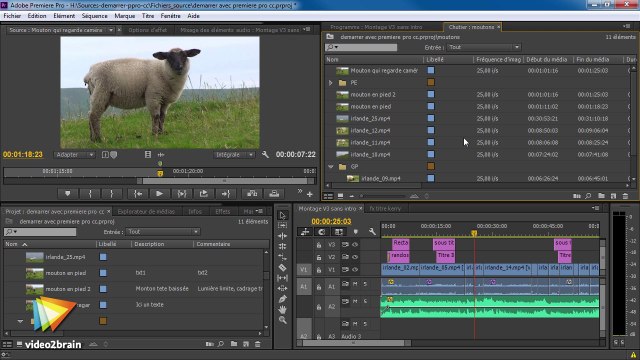 Tutoriel Premiere Pro CC : Sauver ses colonnes personnalisées | video2brain.com
