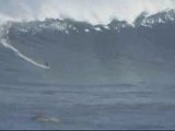 surfing at  jaws  hawaii