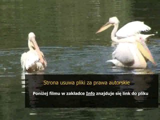 sposob na alcybiadesa film