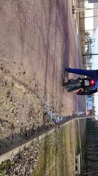 problème réglage nitro top perf rose