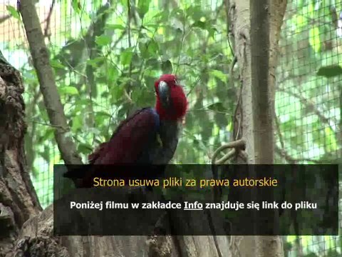 samsung 4g lte mifi manual