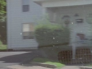 brown bunny - come wander with me