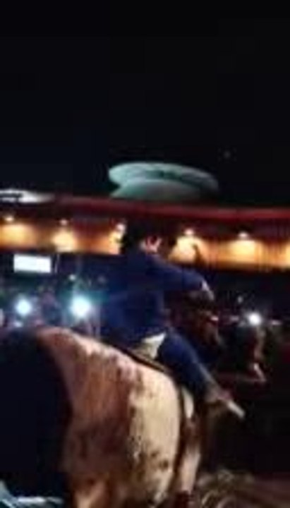 MIGHTY MIKE - MINI ELVIS BULL RIDE - SAM BABY - VIDEO