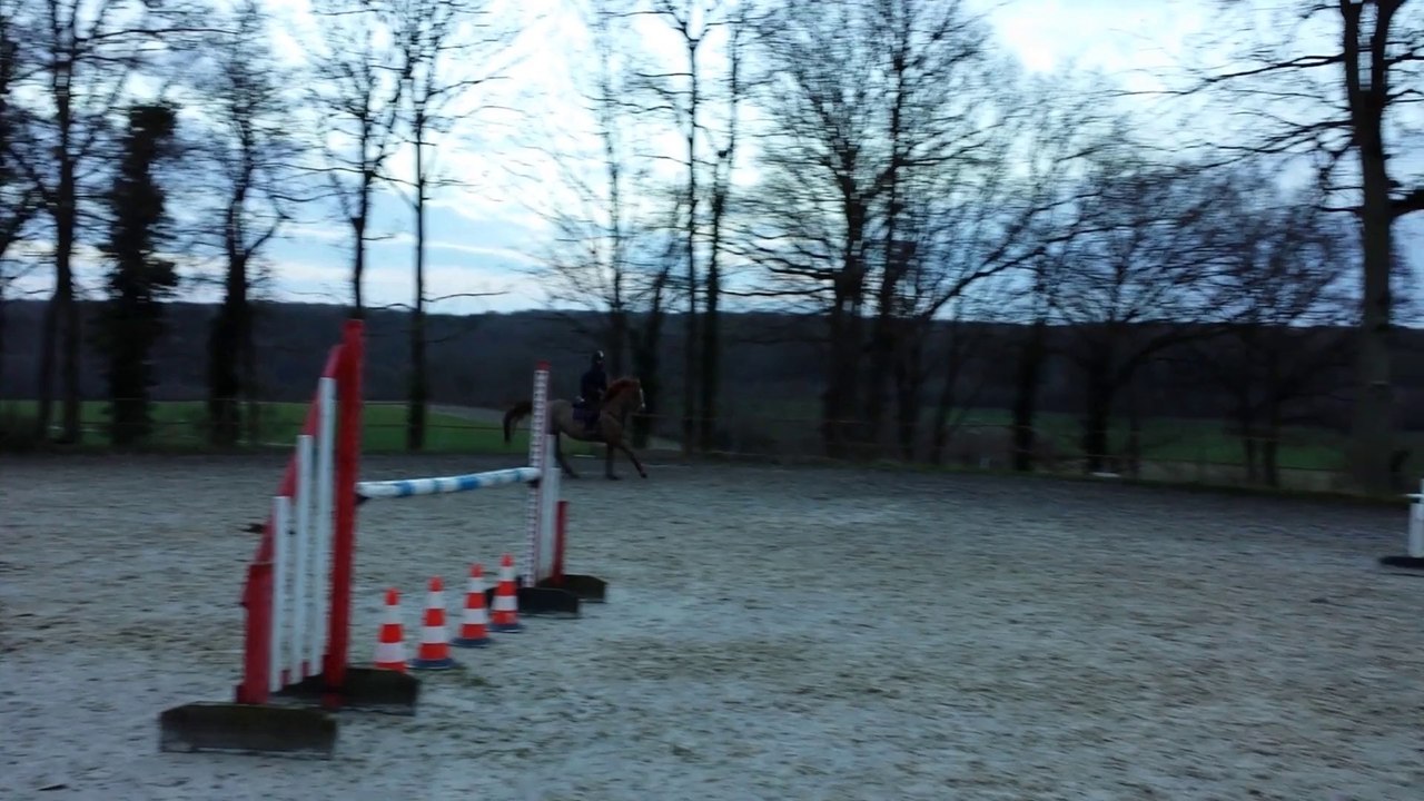 Narcisse entrainement 2