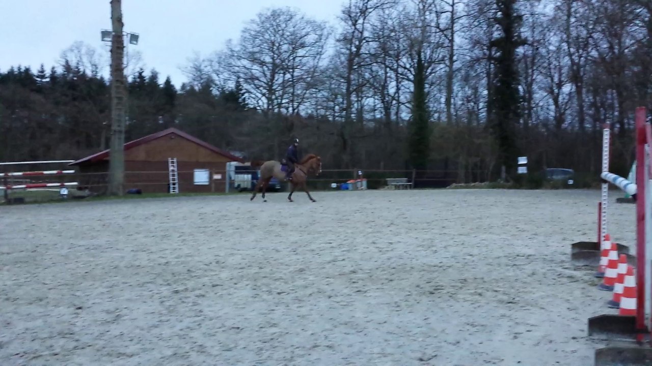 Narcisse entrainement 3