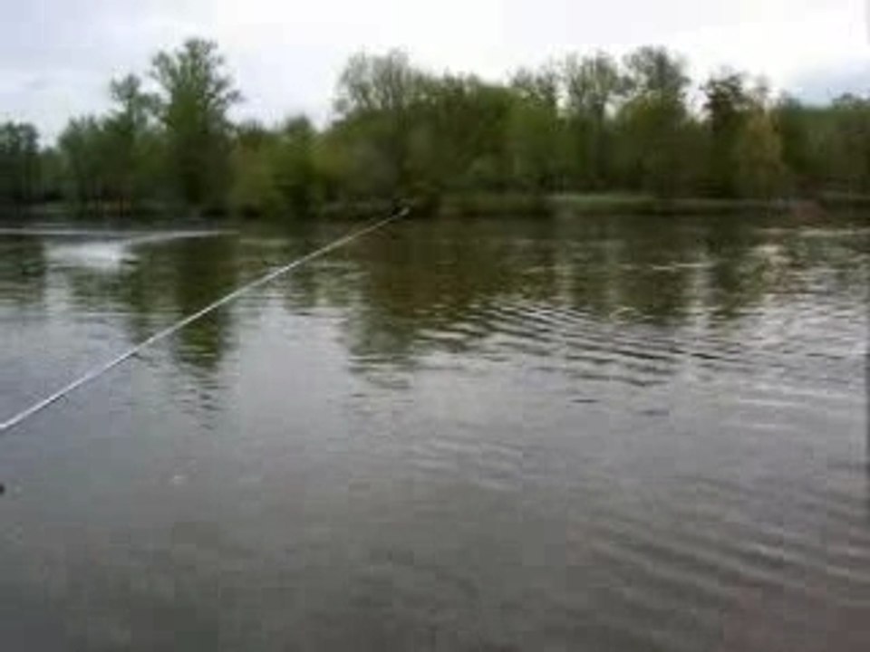 InShore Stef16