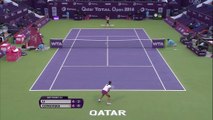Na v Cetkovska - Qatar Ladies Open, Second Round