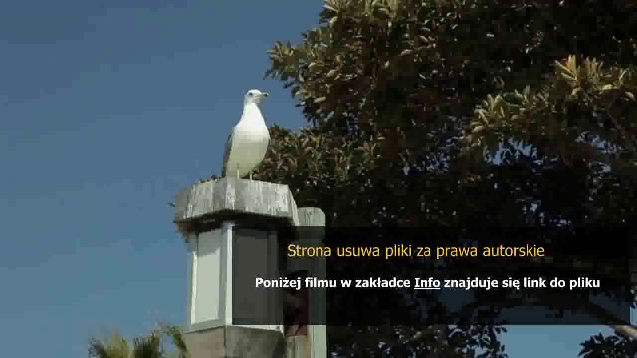 manual juicer da philips walita