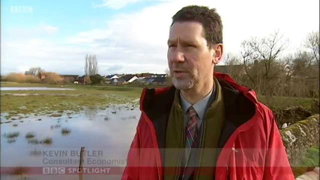 BBC Spotlight - 11/2/14