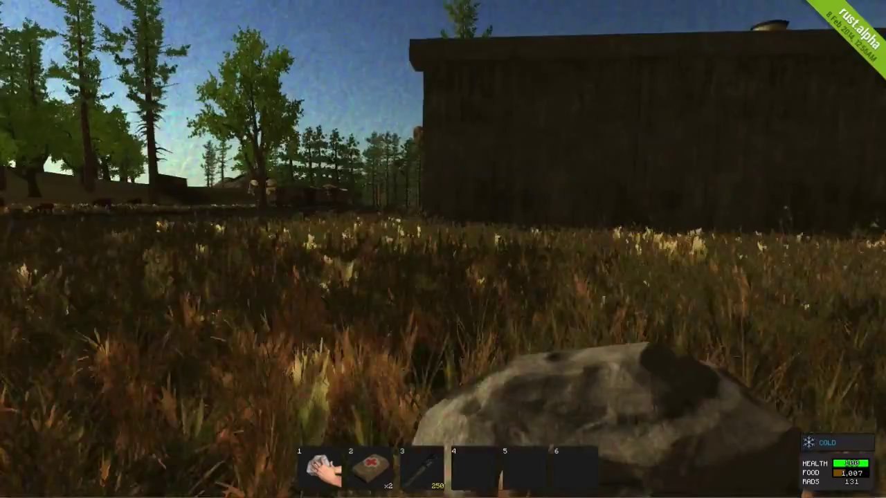 Rust - Part 2 - Finally United