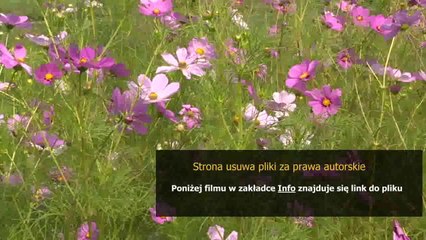 instrukcja montazu kabiny prysznicowej z hydromasazem imperial