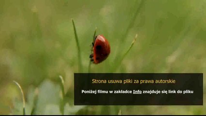 krotka instrukcja mycia zebow