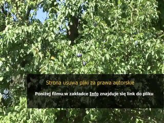 instrukcja montazu frontu w zmywarce bosch