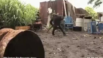 Monkey given Ak47 %2Cunloads firing weapon at owner