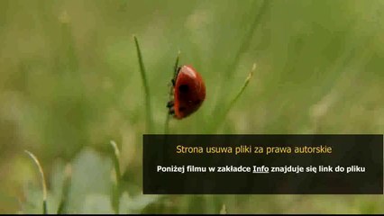 piekarnik bosch hba 23b262e instrukcja obslugi