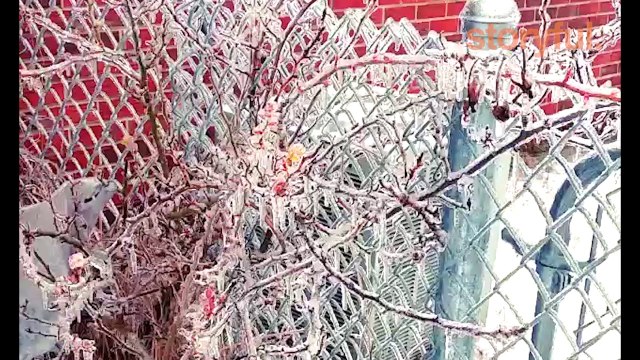 Ice and Snow Cause Headaches in the Southeast