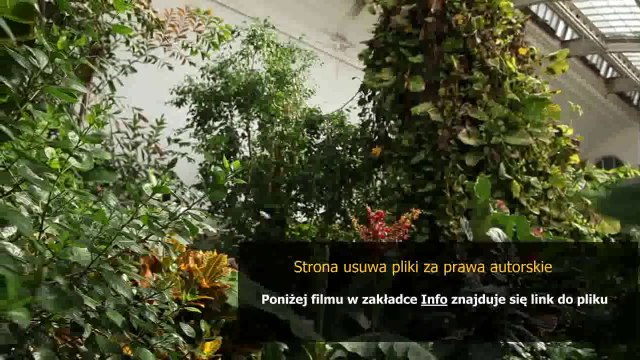 instrukcja 0066 cena