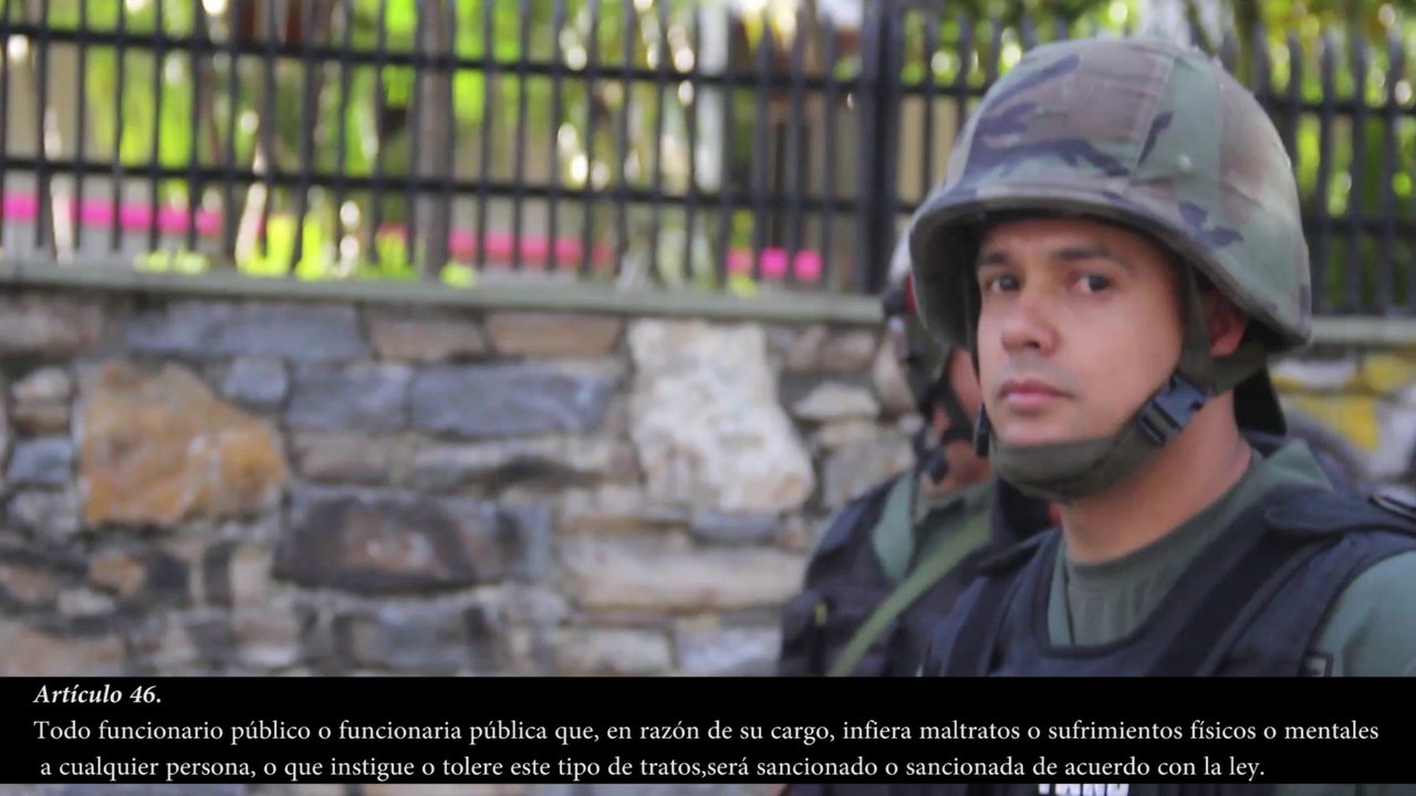 Video detalle