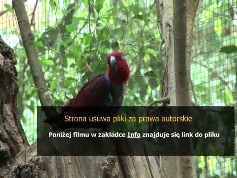 skuteczne sposoby na cienie pod oczami