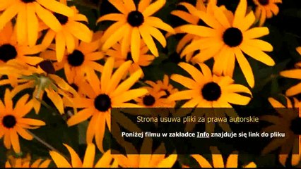 instrukcja do nokia 6303i