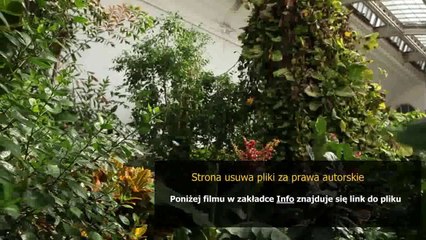 dobry sposob na wagry na nosie