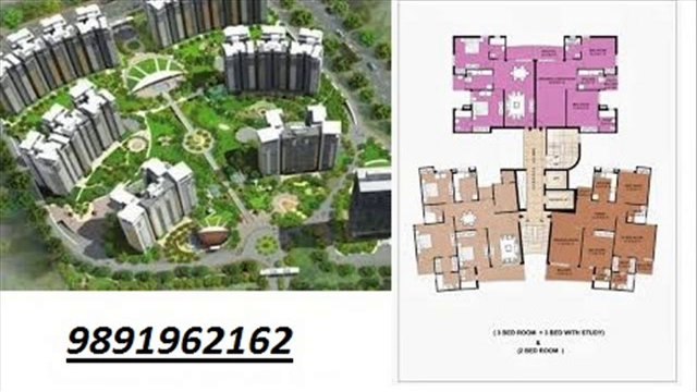 geoworks group(9891962162) 1000 trees sector-6 sohna gurgaon road