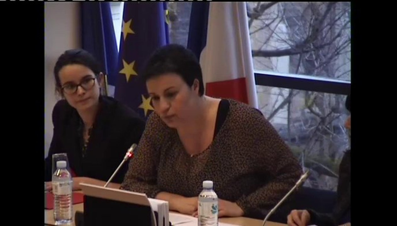 aides de minimis dans la pêche et l'aquaculture (communication) - Mercredi 12 Février 2014