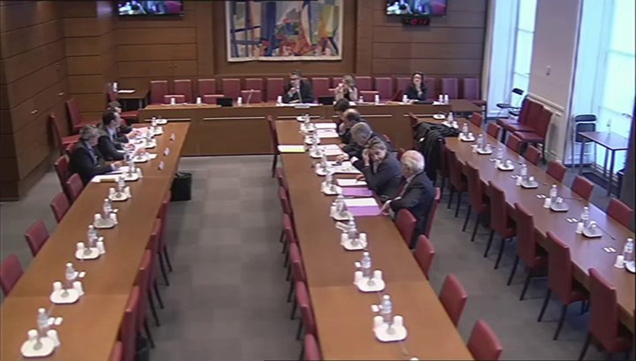 Audition de représentants de la direction de la législation fiscale du ministère de l'économie et des finances - Mercredi 12 Février 2014