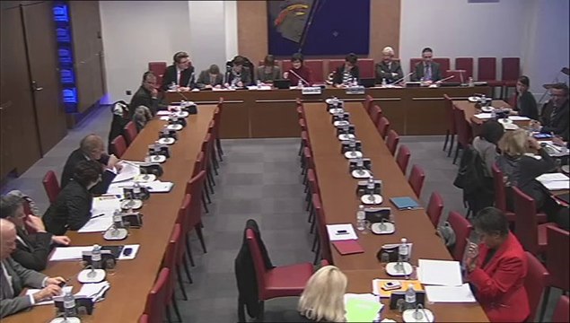 Audition de Mme Marie-Arlette Carlotti, ministre - Mercredi 12 Février 2014