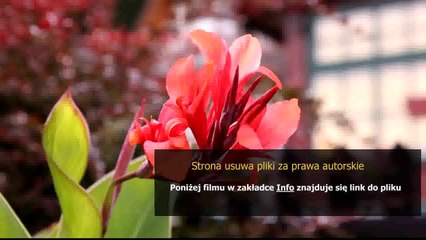 instrukcja decoupage